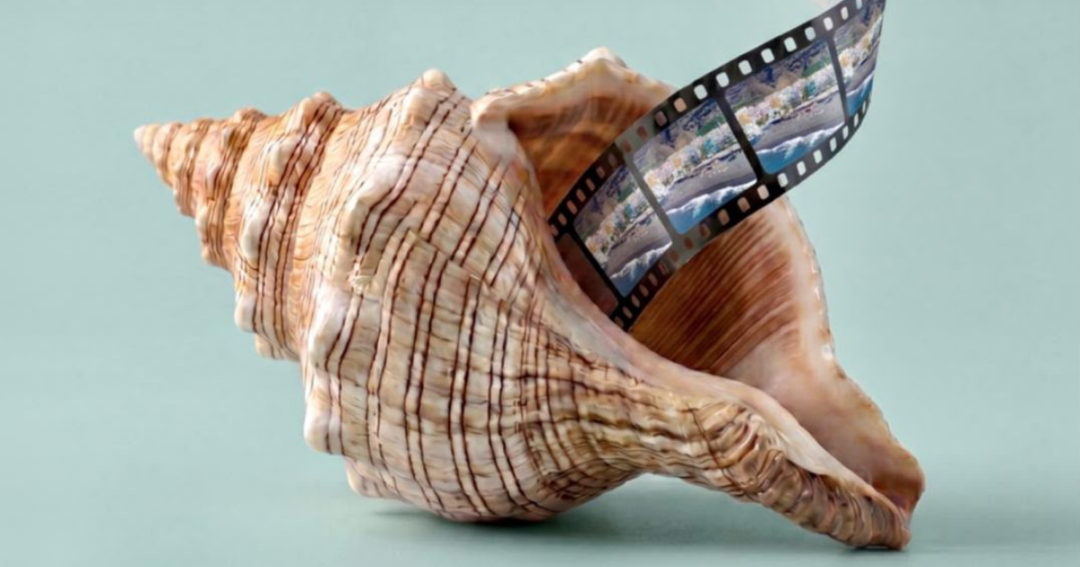 Corto Naos Film Festival